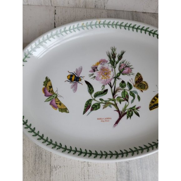 Portmeirion Botanic Gardens Dog rose 13" platter - Picture 2 of 6